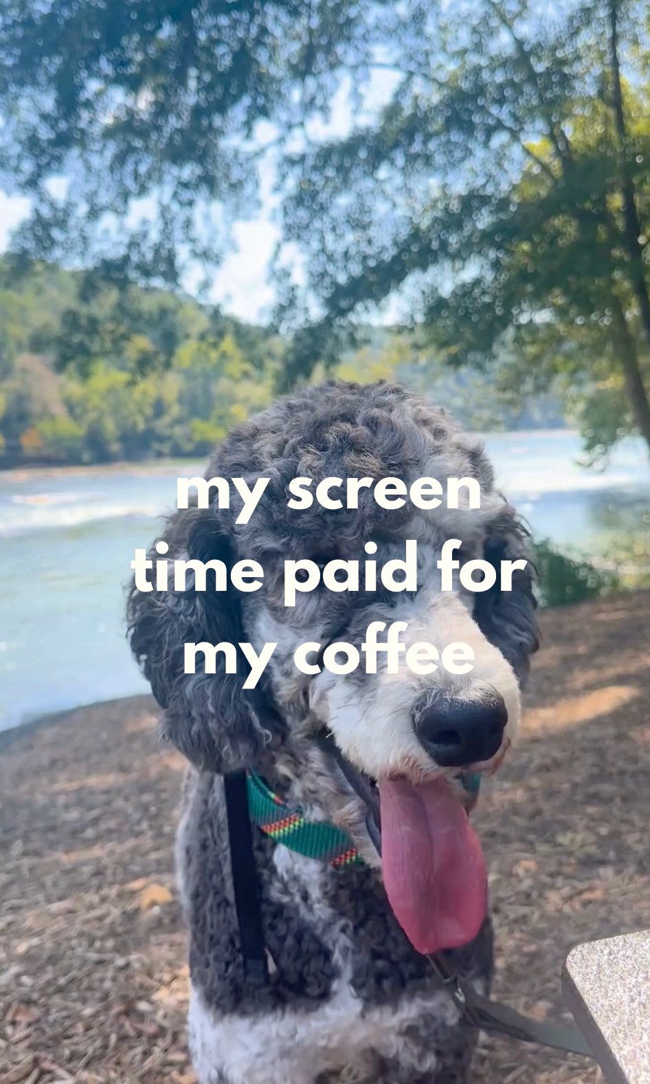 My screen time paid for my coffee