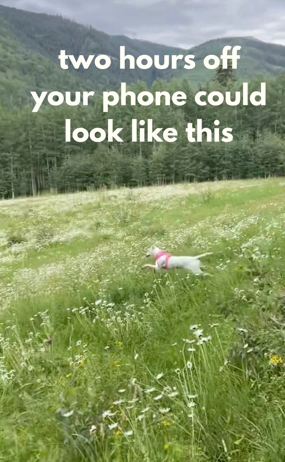 Two hours off your phone could look like this